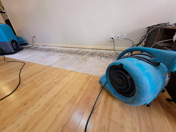Professional Water Damage Repair technician working in Yorkville, NY